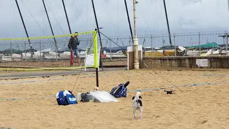 Photo de Brighton Beach Basketball Court