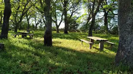 Photo de Parco di Poggio della Rotonda