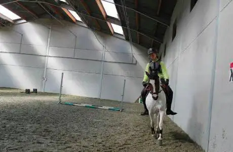 Photo de SL Stable - Hippotherapie