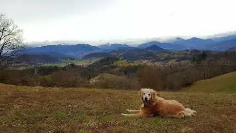 Photo de Monte Poggio Castro