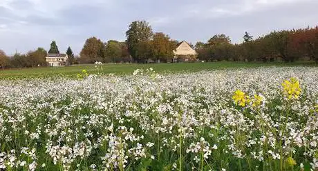 Paradieshof