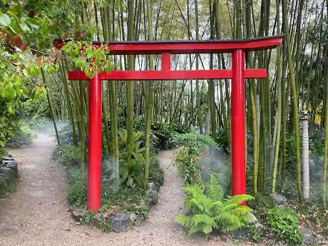 Photo de Botanischer Garten