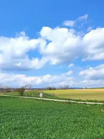Photo de Réserve naturelle du Larrit