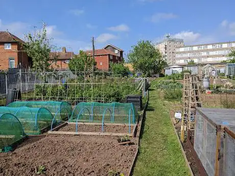 Frian lawn allotments