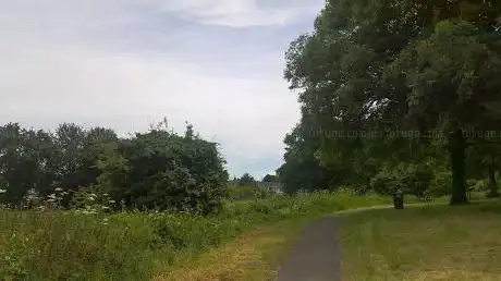 Photo de Mayne Space Nature Trail