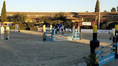 Photo de Club Ippico Equestrian A.s.d.