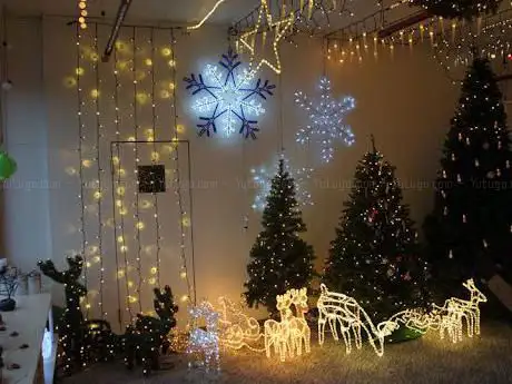 APESA AG Christmas lights