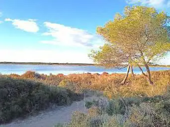 Aresquiers Woods