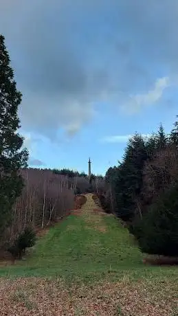 Column to Liberty