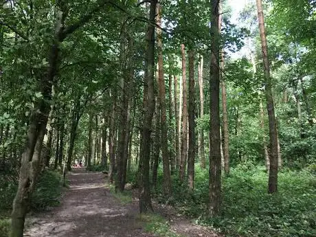 Photo de Redmires Camp Wood