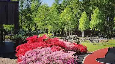 Minigolf Rivierenhof