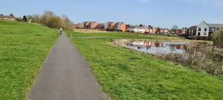 The lea field
