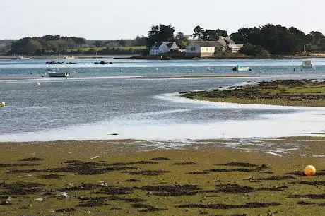 CHEMINS DÉTOURNÉS - activités nature Morbihan