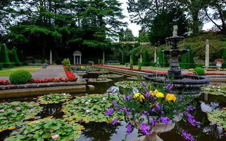 The Italian Garden Compton Acres