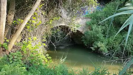 Photo de Ponte Romano
