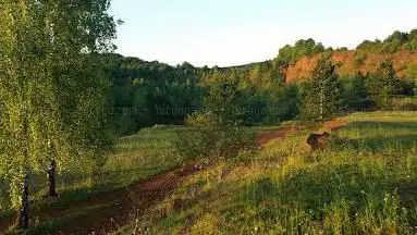 Little Utah Skill Park