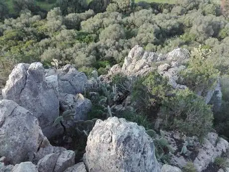 Area demaniale per spettacoli viaggianti