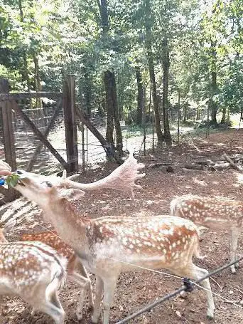 Parc animalier