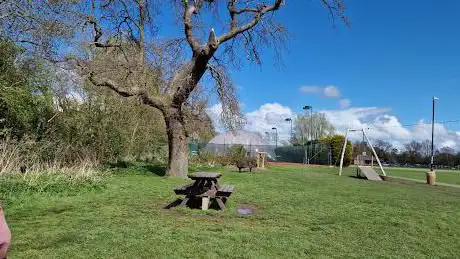 Natural play area