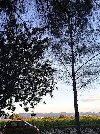 Photo de vallado Park