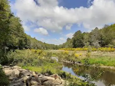 Pont-Sal Woods