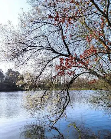 Photo de Étang de La Verte Vallée