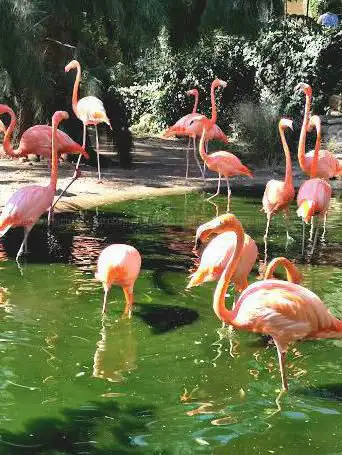 Photo de ZOA Parc