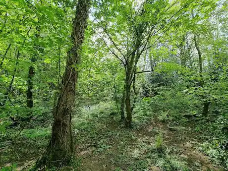 Pontymister River Walk