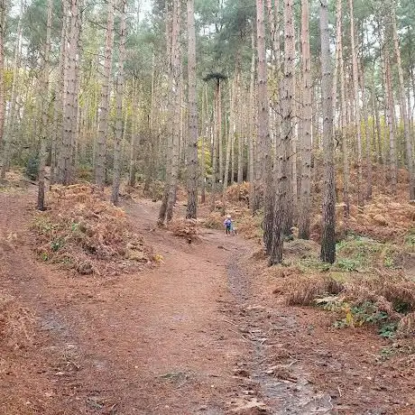 Photo de Kingsford Free Ride Bike Park