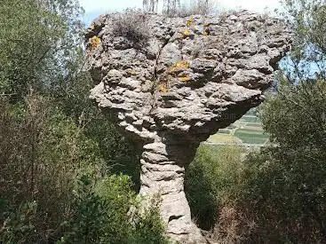 Photo de Les Bénitiers