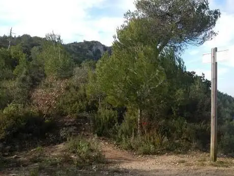 Photo de Coll del Montcau