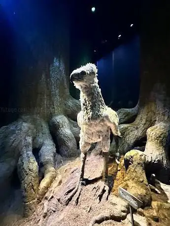 Photo de Forbidden Forest