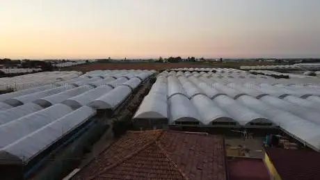 Photo de Azienda Agricola Cavallaro Genoveffa
