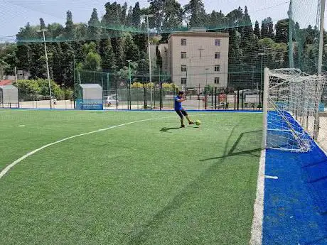 Photo de Dynamic soccer
