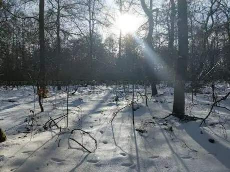 Photo de Roggel