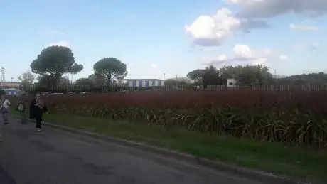 Photo de Stadio Mediceo