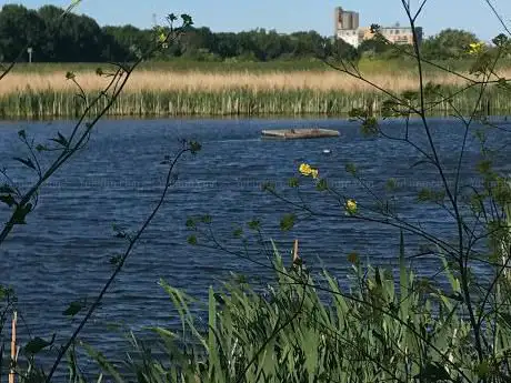 Photo de Crossness Nature Reserve