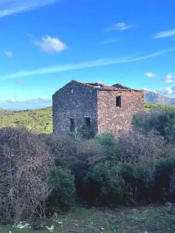Ruines de Tetti