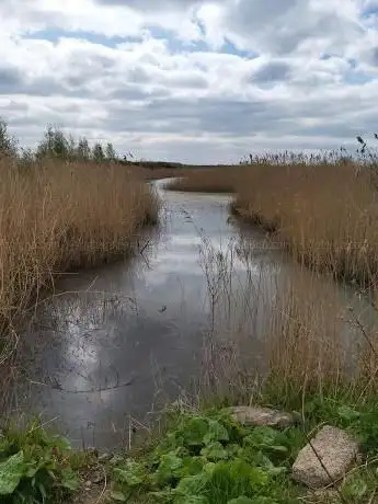 Astley Lake