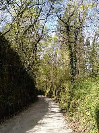 Photo de Burdinazko Mendietako Bide Orlegi Naturala (sarbidea)
