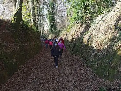 Pobo Aventura