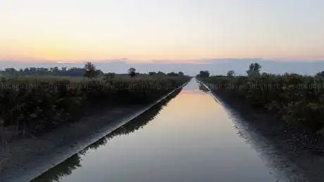 ZONA BONIFICA PARMIGIANA MOGLIA