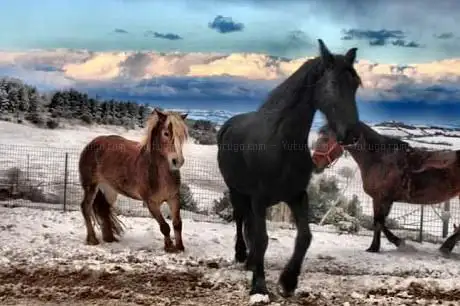 Photo de Sporty Farm