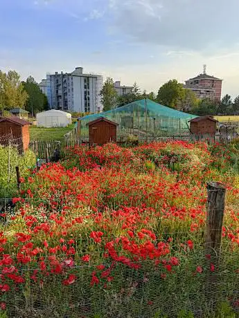 Photo de Nichelino Fertile