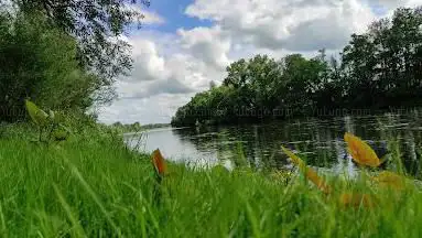 Photo de Bords De Loire