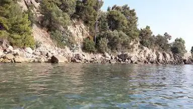 Cianeti