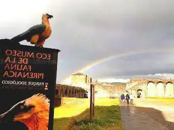 Photo de Ecomuseo de la Fauna. Fundación para la Conservación del Quebrantahuesos