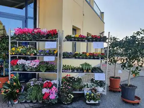 Photo de Consorzio Agrario delle province del Nord Ovest