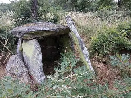 Dolmen da Muruxosa