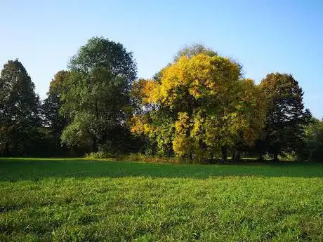 Photo de Parco Fluviale del Po Della Pianura Torinese